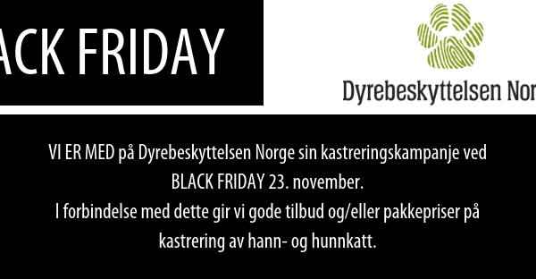 BLACK FRIDAY FB cover