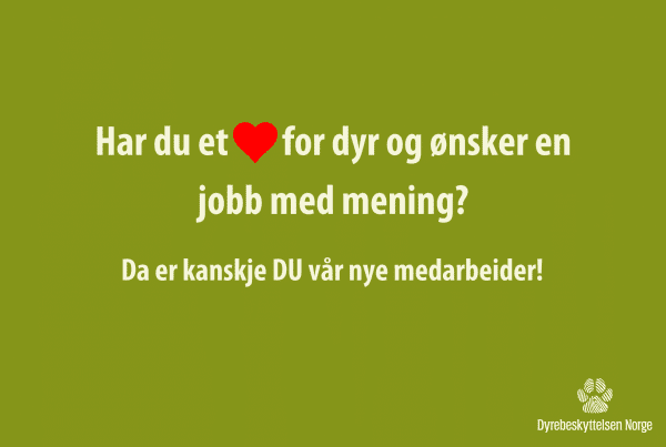 Søker nye medarbeidere