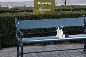 Flere kosedyr var plassert rundt om på Eidsvolls plass for å illustrere hjemløse og dumpede dyr. Foto: Annette Bjørndalen Søreide