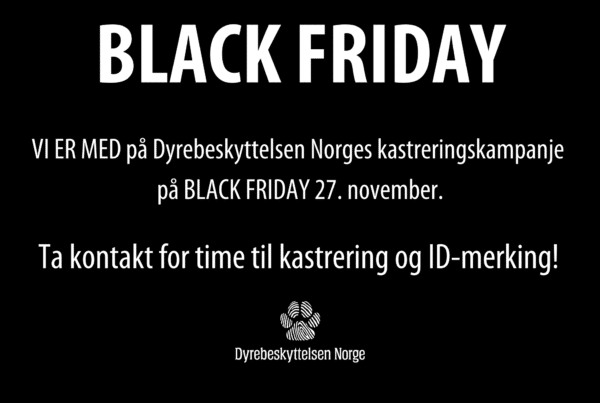 Kampanjebilde for Black Friday 2020