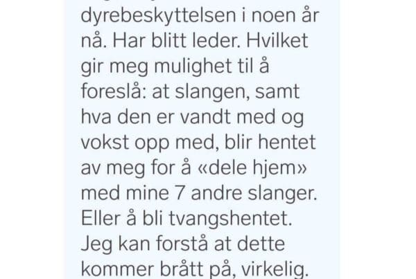 Skjermdump av forsøk på svindel. Foto: Skjermdump