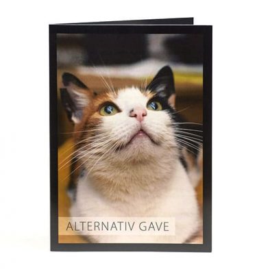 Alternativ gave kattemotiv
