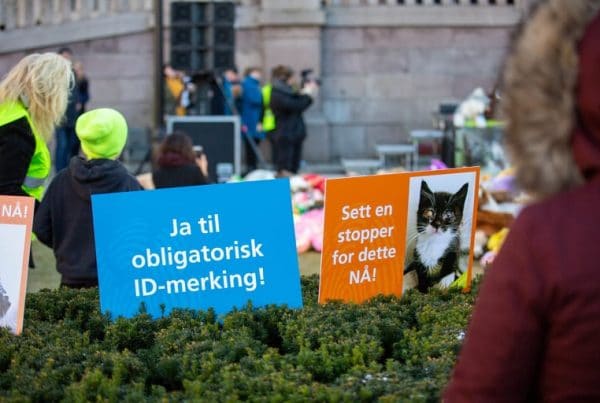 Black Friday-markering foran Stortinget 29. november 2019. Foto: Lena Kristiansen.