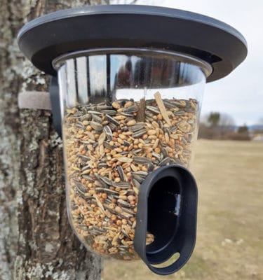 Frøautomat svart