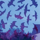 Birdsticker sett med 5 stykker