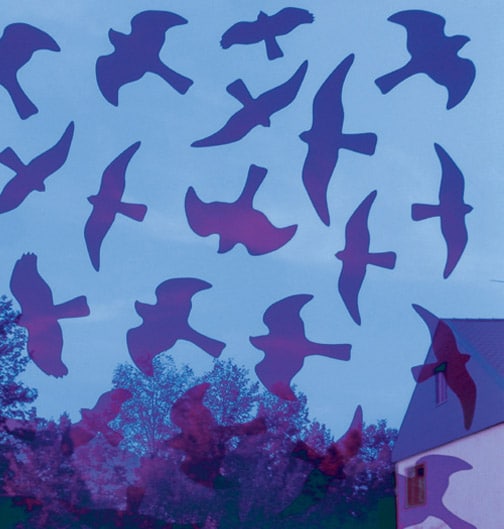 Birdsticker sett med 5 stykker