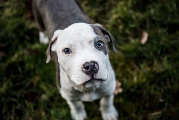 Foto: Freddy Sky/Shutterstock
