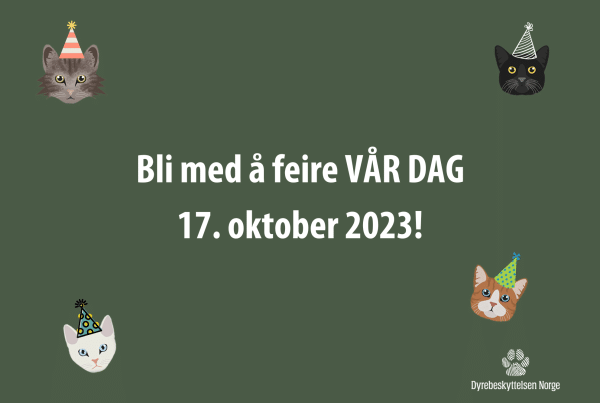 VÅR DAG! Nyhetsbilde 2023