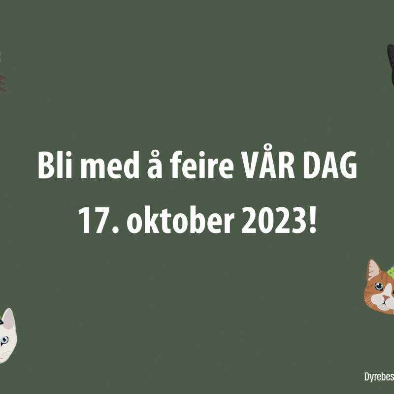 VÅR DAG! Nyhetsbilde 2023